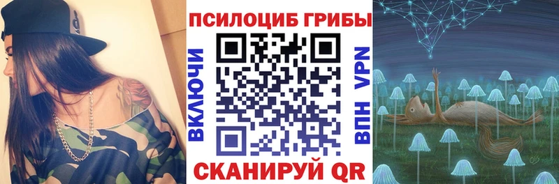 Псилоцибиновые грибы Cubensis  Велиж 