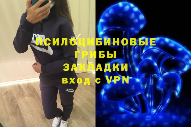 Галлюциногенные грибы GOLDEN TEACHER  omg зеркало  Велиж  купить  